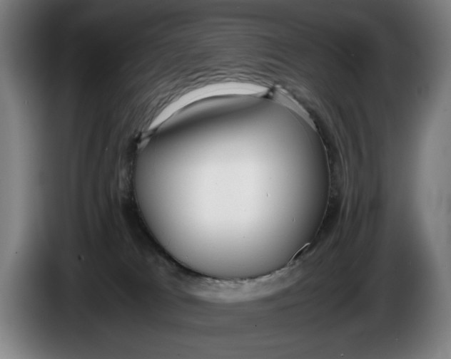 X0000086330037200704202050