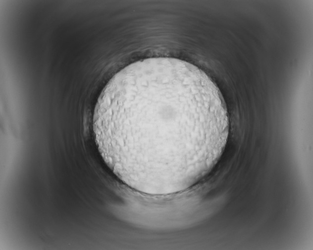 X0000086330038200704202050