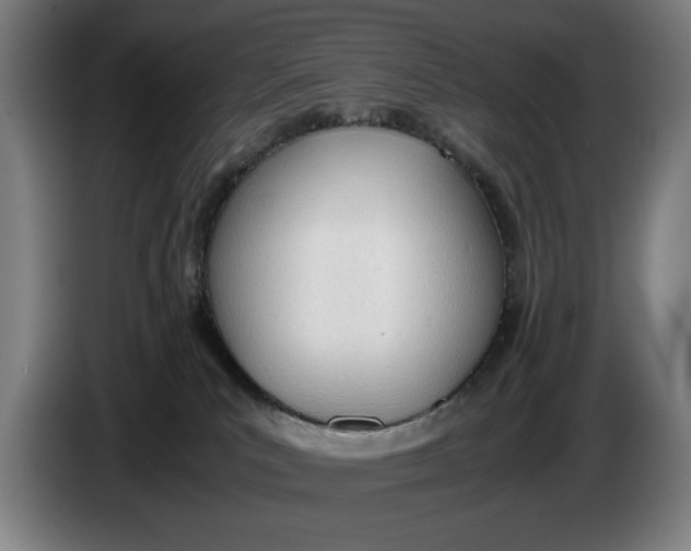 X0000086330039200704202050