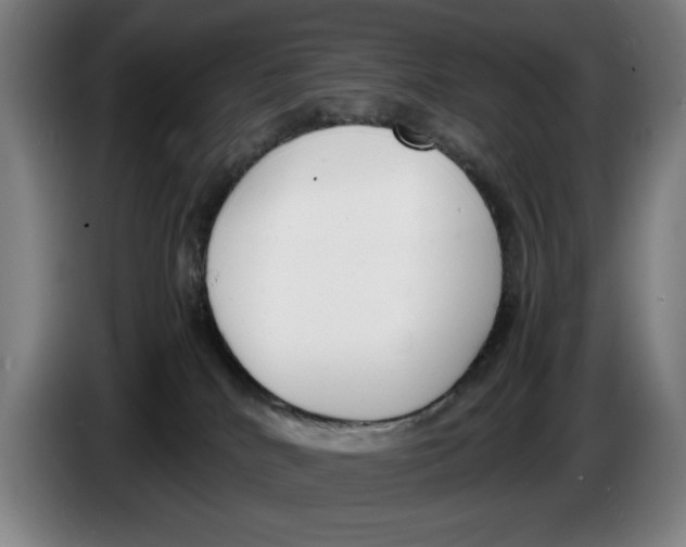 X0000086330040200704202050