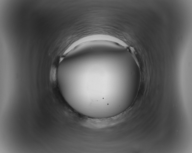 X0000086330041200704202050