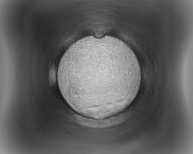 X0000086330042200704202050