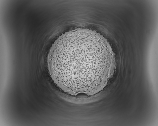 X0000086330043200704202050