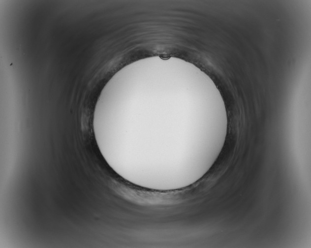 X0000086330044200704202050