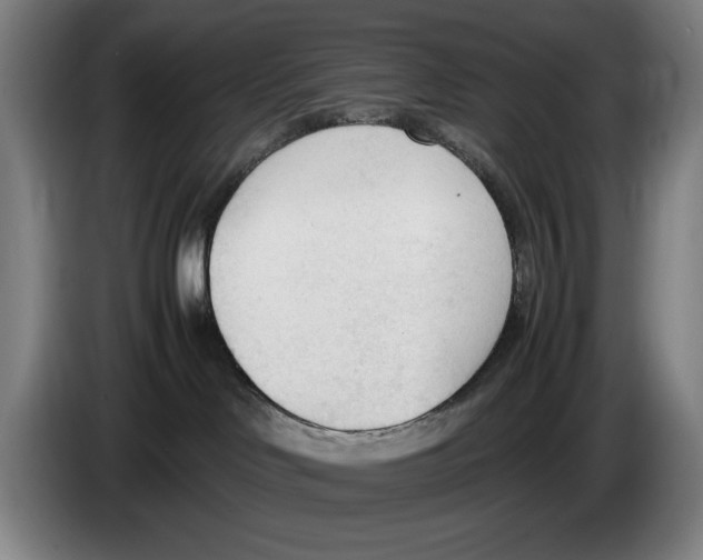 X0000086330046200704202050