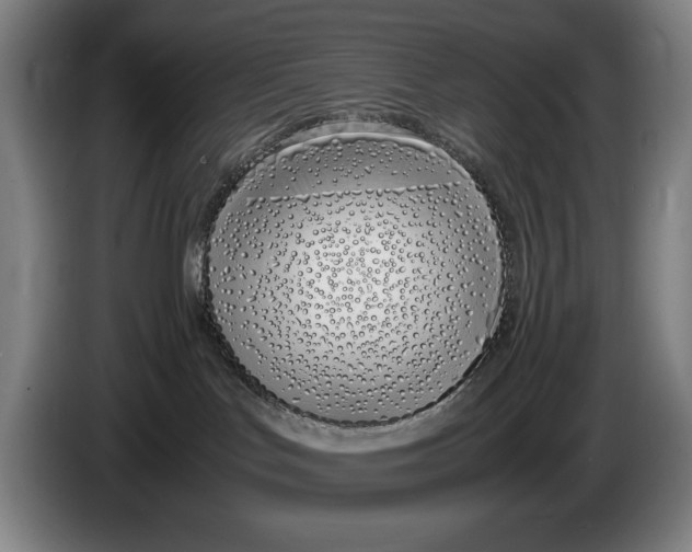 X0000086330047200704202050