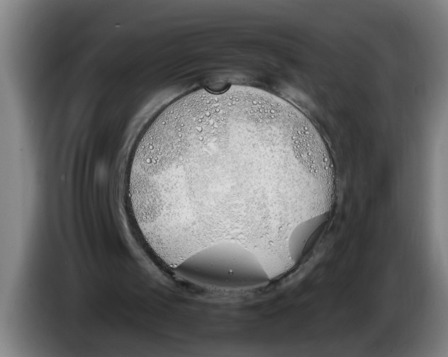 X0000086330049200704202049