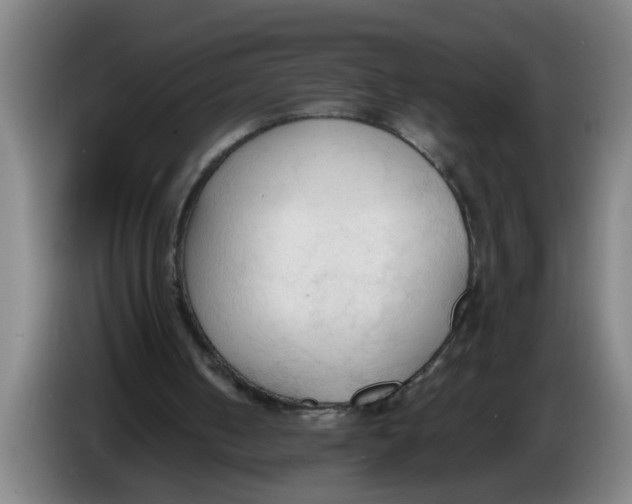 X0000086330050200704202049