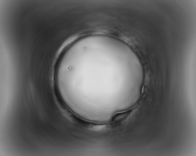 X0000086330054200704202049