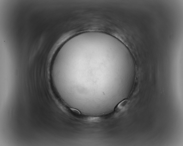 X0000086330055200704202049