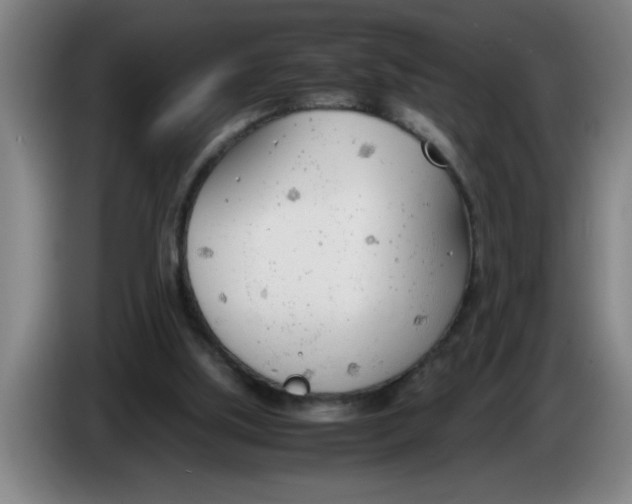 X0000086330059200704202049