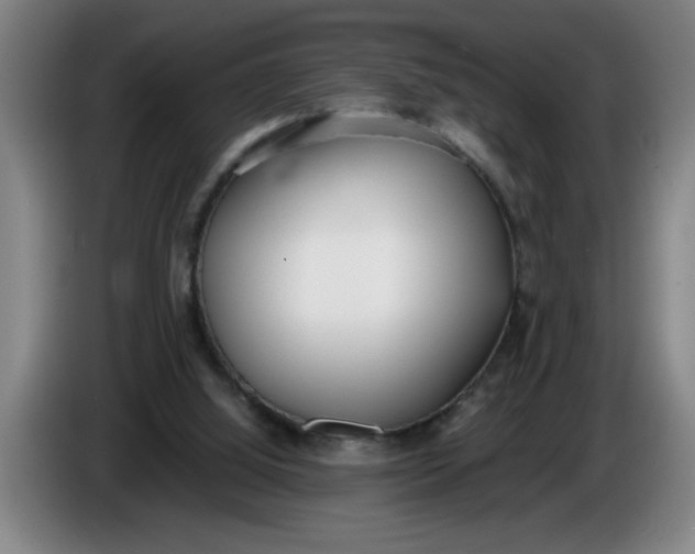 X0000086330060200704202049