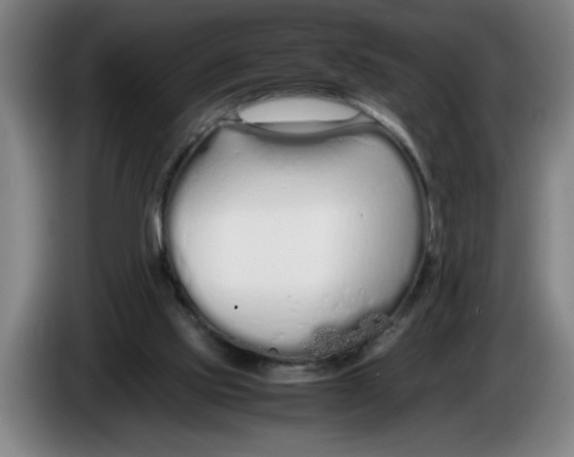 X0000086330061200704202049