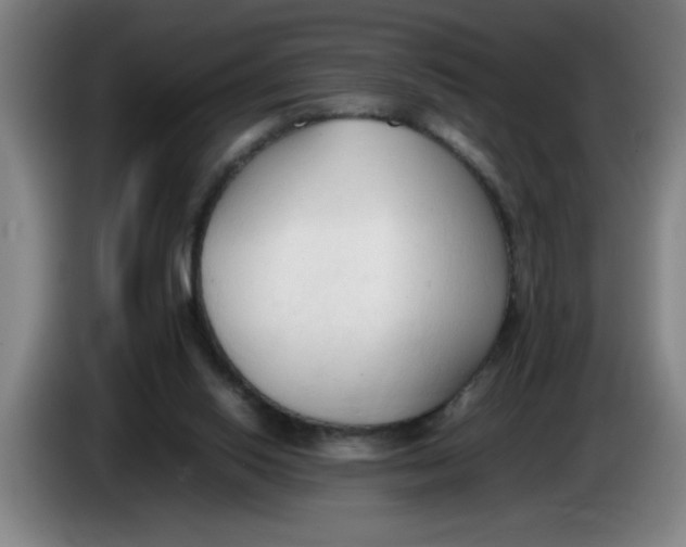 X0000086330062200704202049