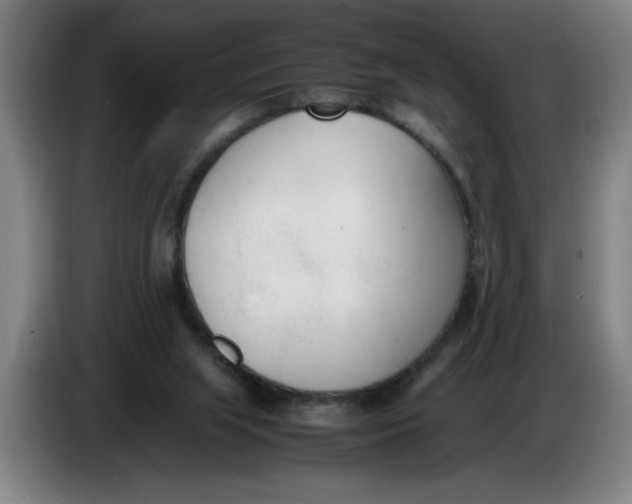 X0000086330063200704202049