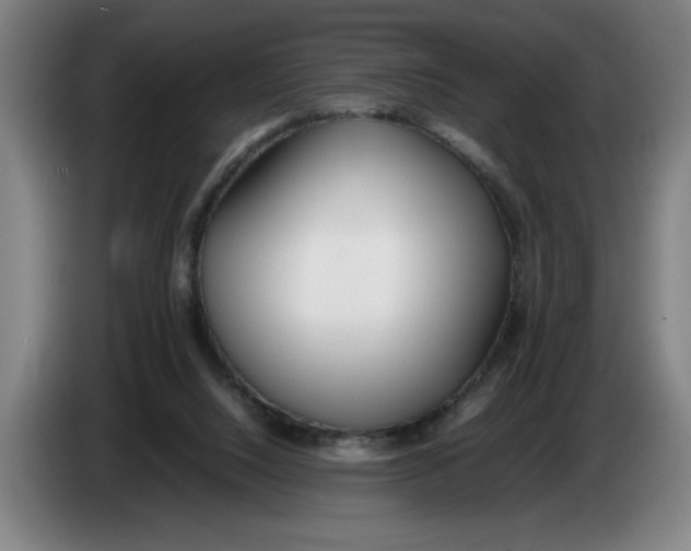 X0000086330064200704202049