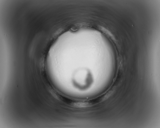 X0000086330065200704202049