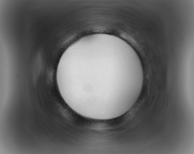 X0000086330066200704202050