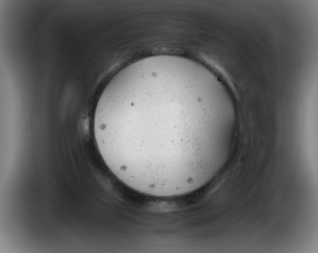 X0000086330067200704202050