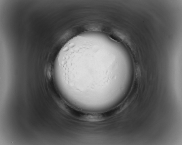 X0000086330069200704202050