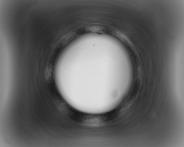 X0000086330073200704202050