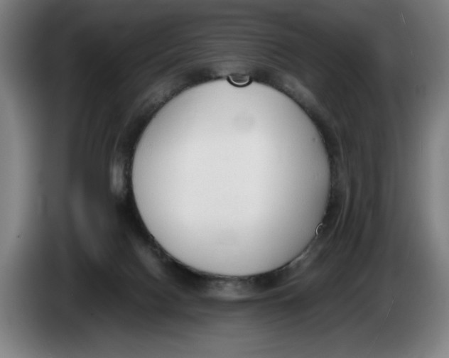 X0000086330074200704202050