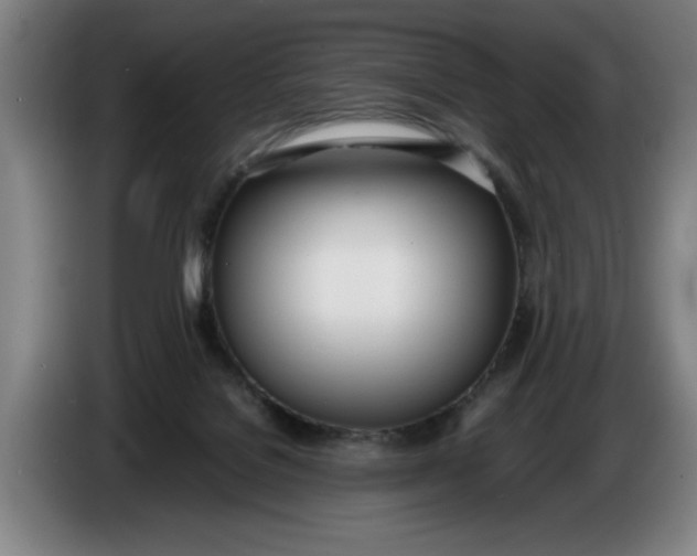 X0000086330076200704202050