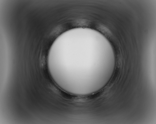 X0000086330077200704202050