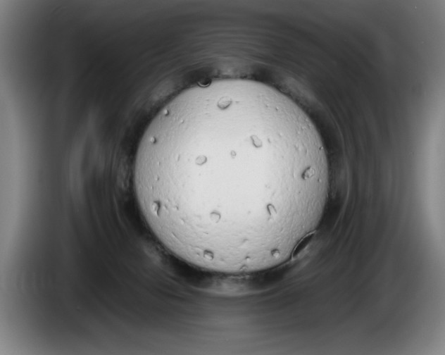 X0000086330078200704202050