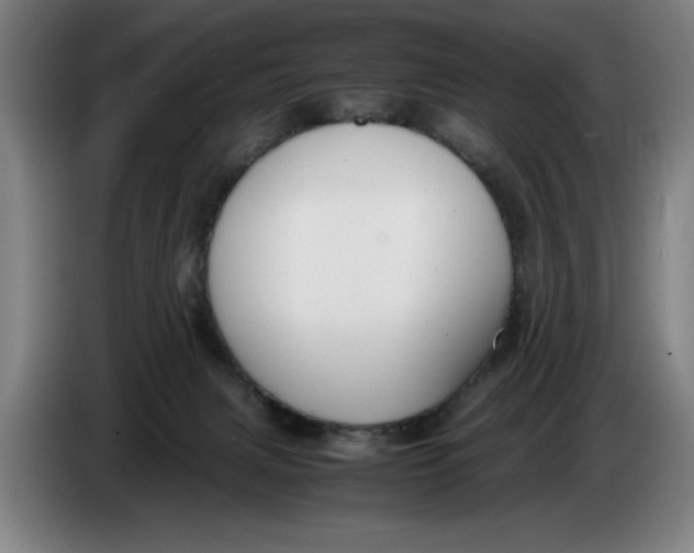 X0000086330079200704202050