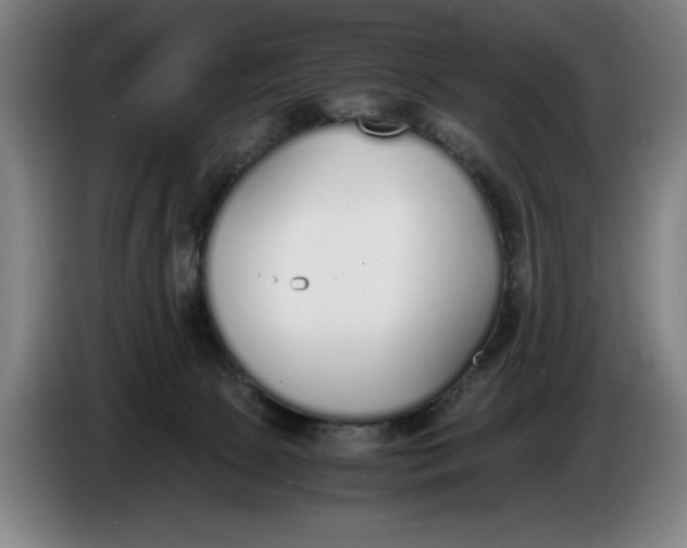 X0000086330081200704202050