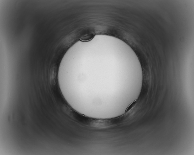 X0000086330082200704202050