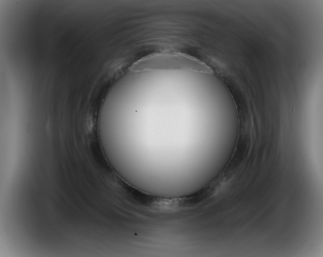 X0000086330084200704202050