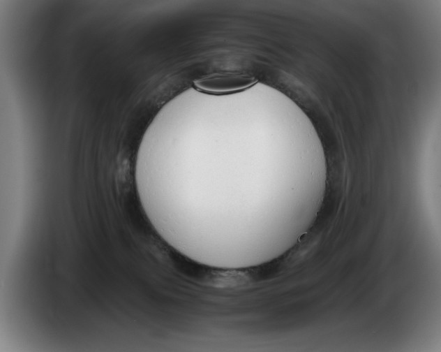 X0000086330087200704202050