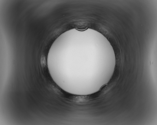 X0000086330089200704202050