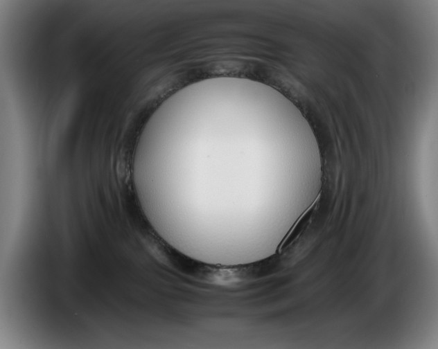 X0000086330091200704202050