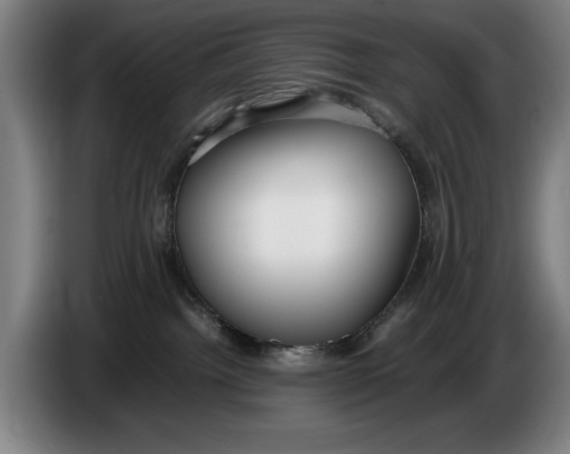 X0000086330092200704202050