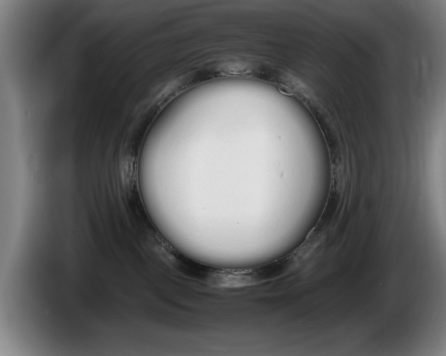 X0000086330093200704202050