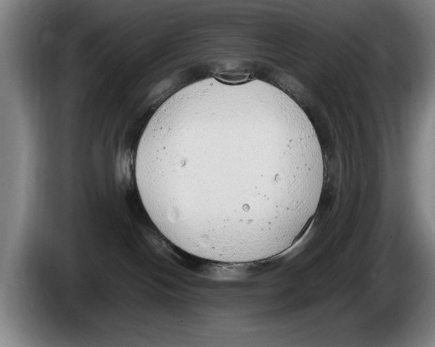 X0000086330094200704202050