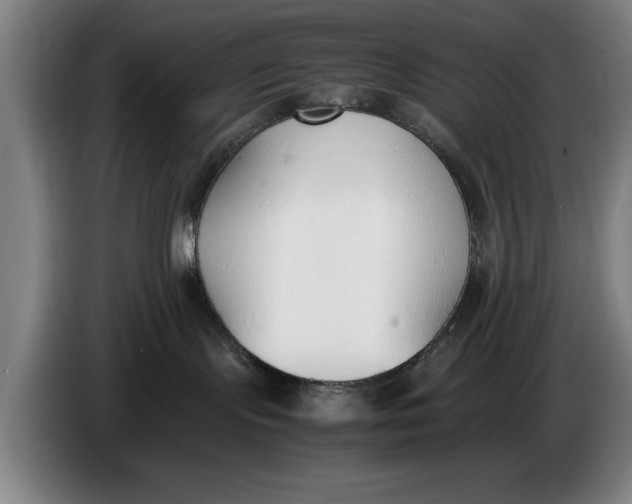 X0000086330095200704202050