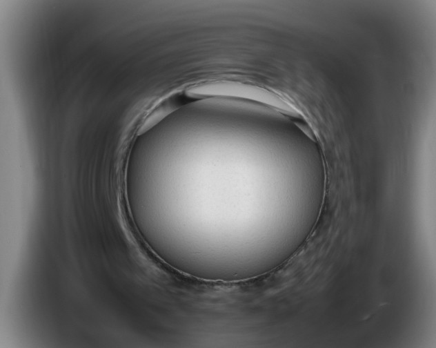 X0000086330097200704202049