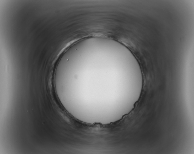 X0000086330098200704202049