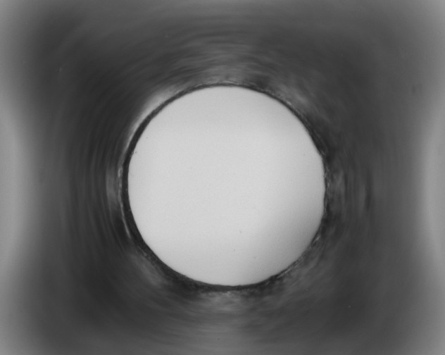 X0000086330100200704202049