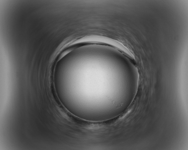 X0000086330101200704202049