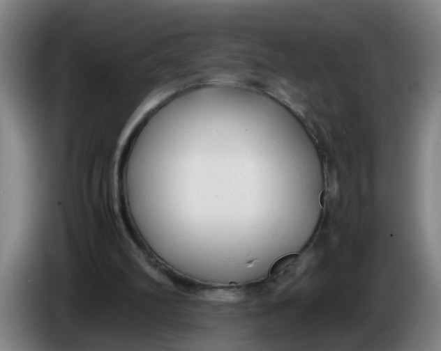 X0000086330102200704202049