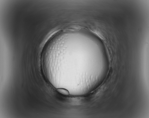 X0000086330103200704202049