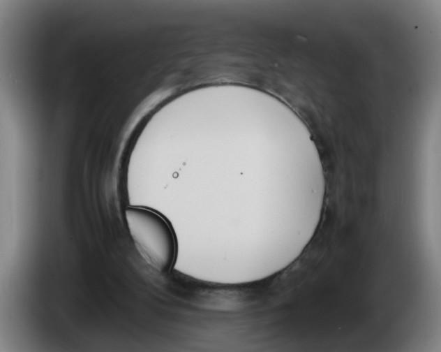 X0000086330104200704202049