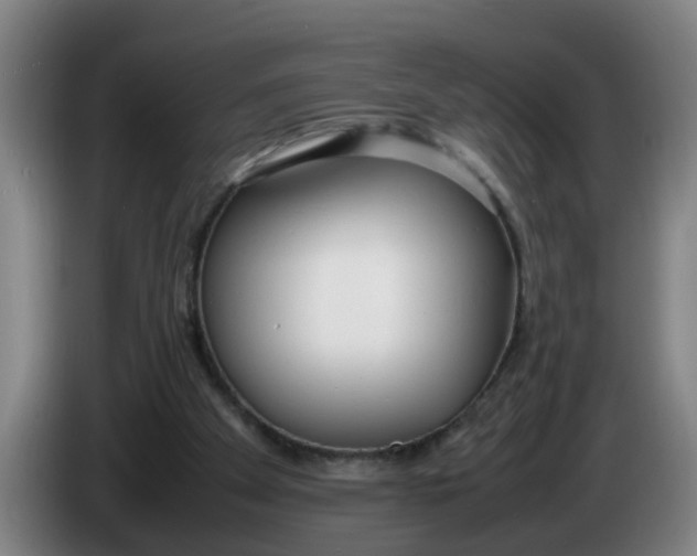 X0000086330105200704202049