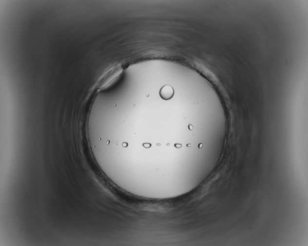 X0000086330106200704202049