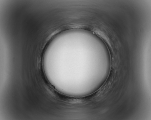 X0000086330107200704202049